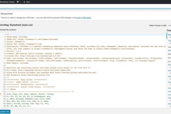 How to Customize a WordPress Theme Easily